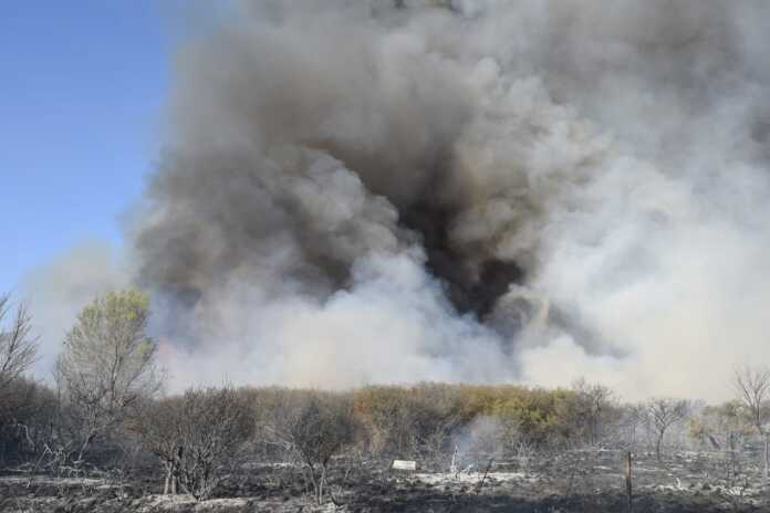 459462307_8485376304838674_333795027141126629_n