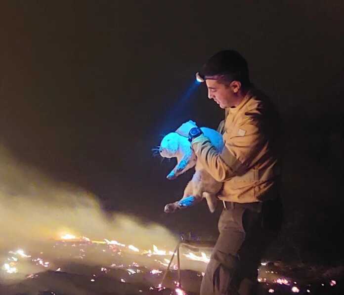 WhatsApp Image 2024-09-04 at 08.48.05