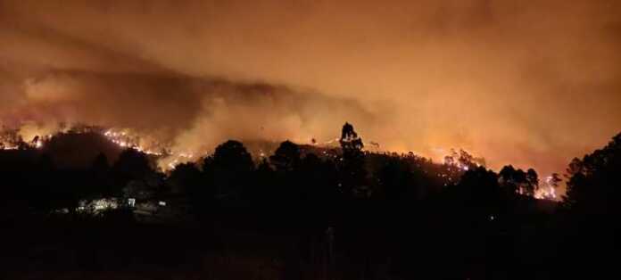 WhatsApp Image 2024-09-22 at 08.37.54