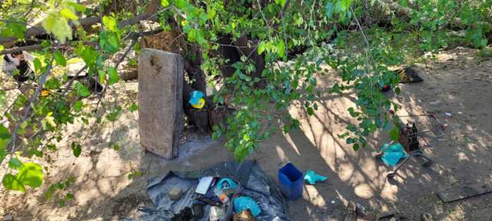 WhatsApp Image 2024-09-27 at 11.10.11