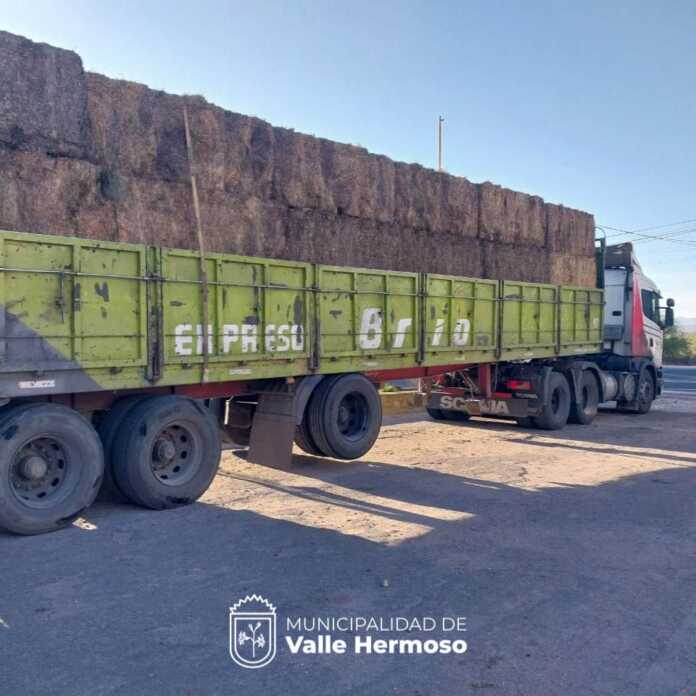 WhatsApp Image 2024-09-30 at 15.35.45