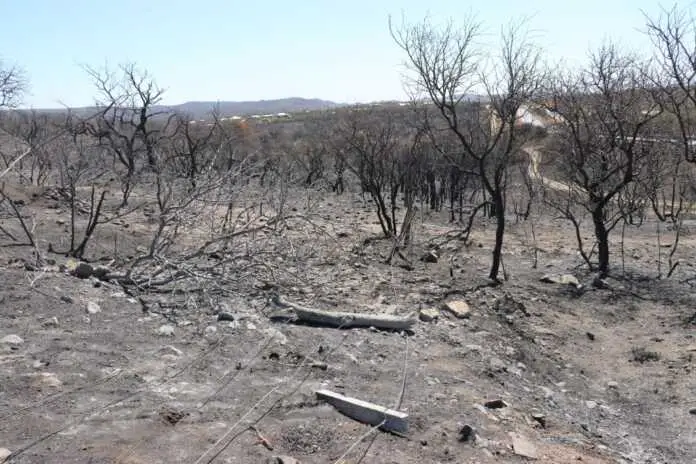campo devastado por el incendio