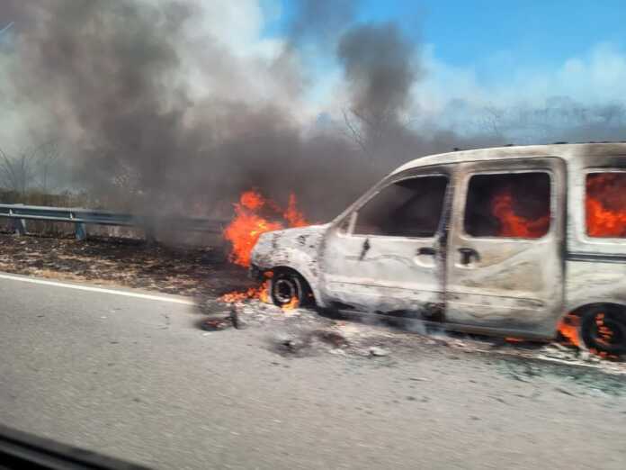 incendio-bosque-alegre (1)