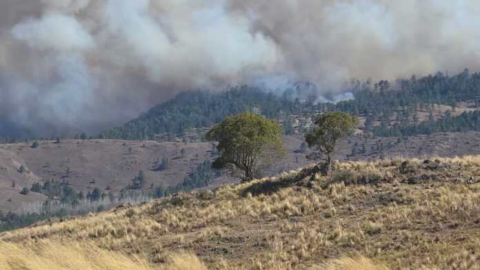 incendio-el-durazno-yacanto (3)