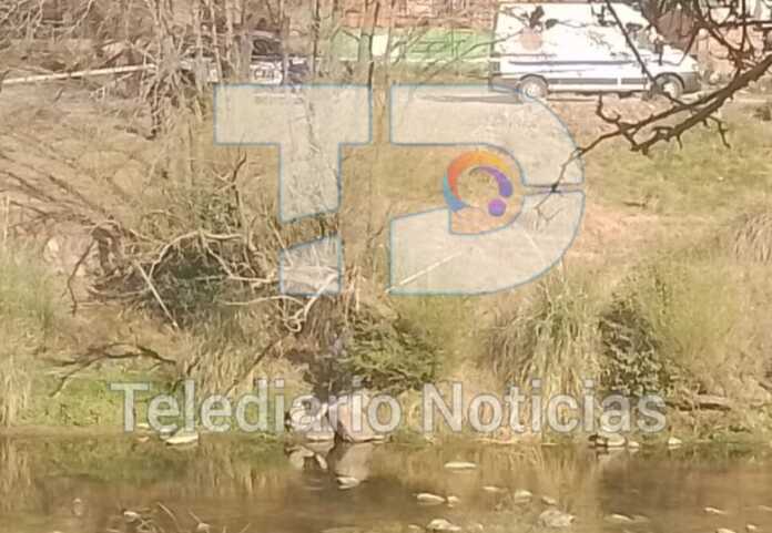 telediario noticias