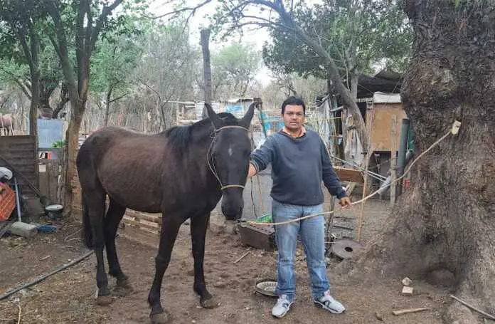 Julio-Aguirre-ElDoce