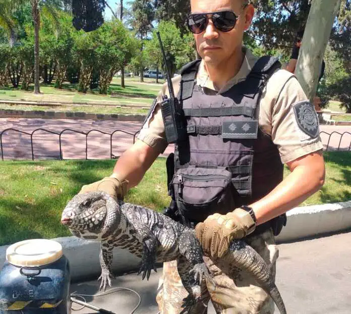 WhatsApp Image 2024-10-28 at 17.55.05