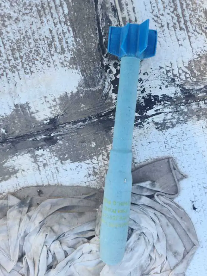 WhatsApp Image 2024-10-29 at 05.53.30