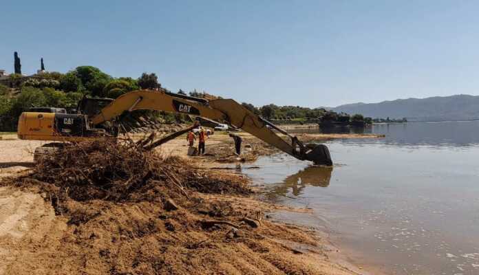 WhatsApp Image 2024-10-31 at 13.24.32