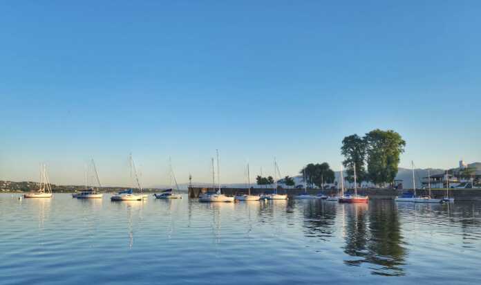 Imagen de WhatsApp 2024-11-15 a las 08.27.12_253a76b2