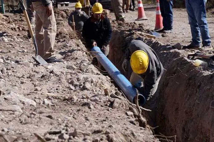 WhatsApp Image 2024-11-01 at 09.04.40