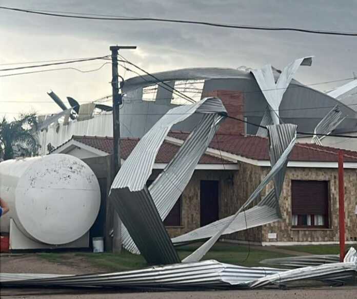 WhatsApp Image 2024-11-10 at 21.31.40