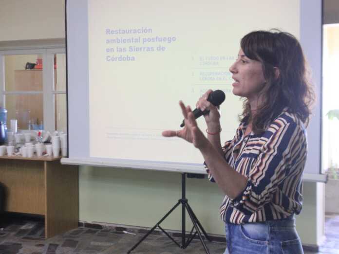 WhatsApp Image 2024-11-13 at 18.12.16