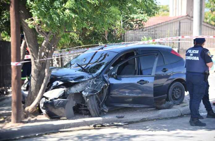 WhatsApp Image 2024-11-15 at 10.57.18