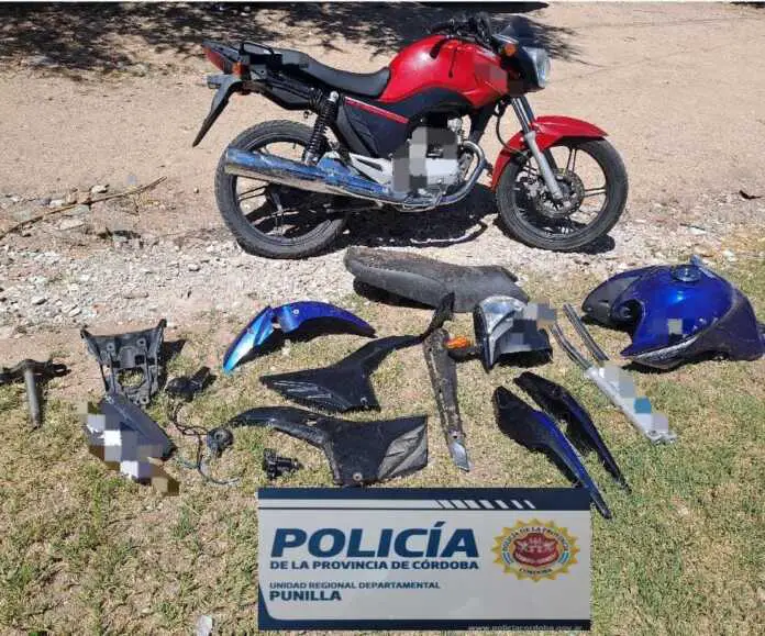 WhatsApp Image 2024-11-22 at 18.13.36