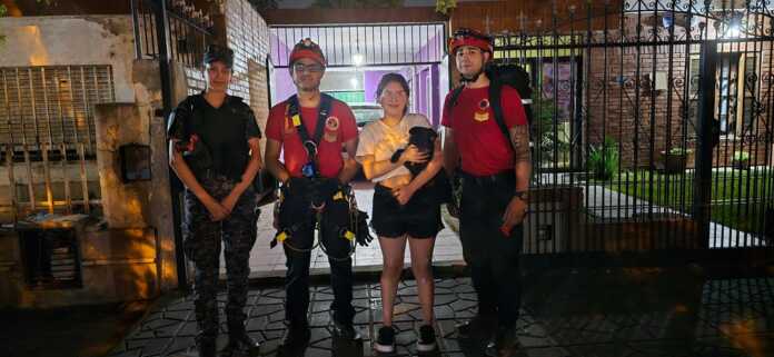 WhatsApp Image 2024-12-03 at 08.16.30