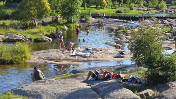 WhatsApp Image 2024-12-15 at 09.44.36 (2)