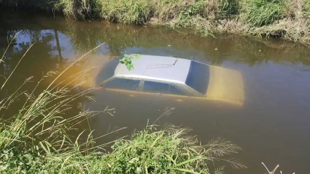 WhatsApp Image 2024-12-29 at 17.33.46 (1)