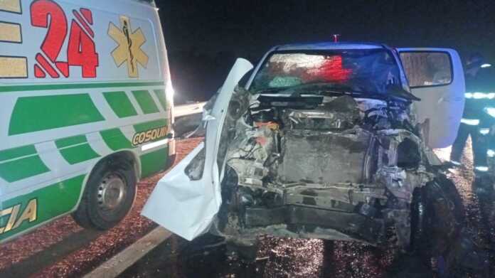 accidente-bufalos-autovia (2)