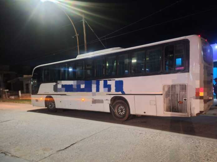 colectivo turismo