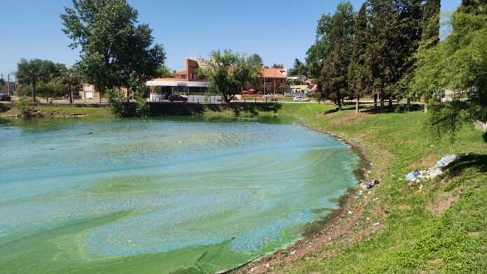 lago-contaminado (1)