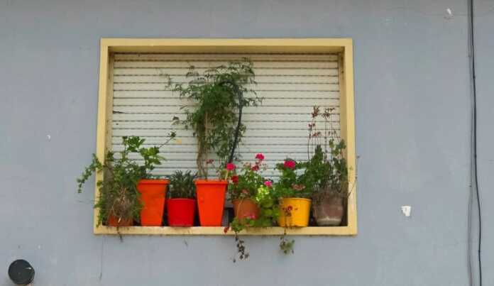 Balcon-01