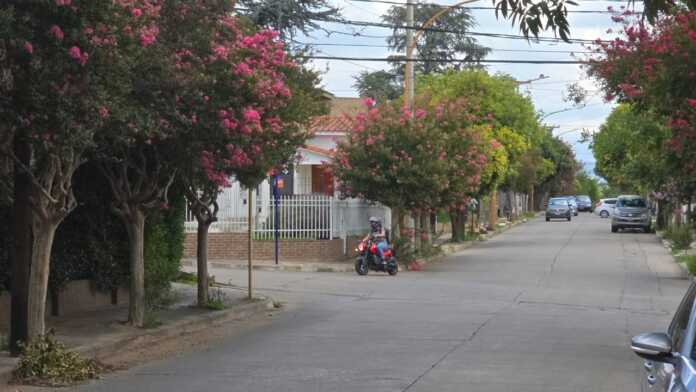 Imagen de WhatsApp 2025-01-27 a las 17.34.28_8621bc1b