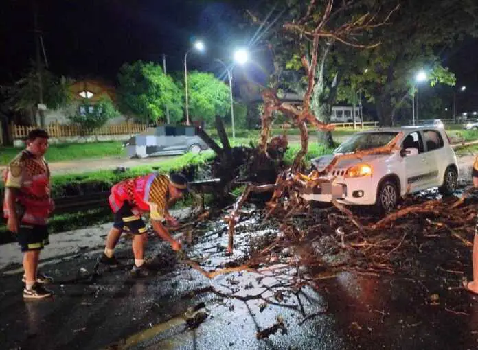 Imagen de WhatsApp 2025-01-28 a las 09.32.28_b8515239