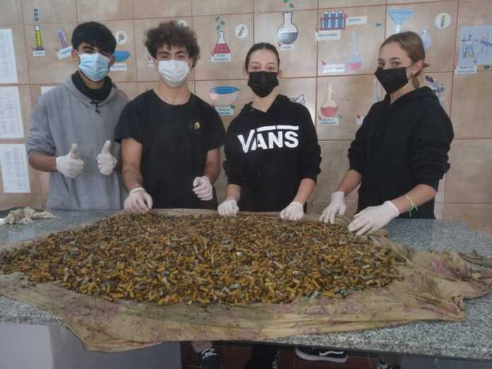 WhatsApp Image 2025-01-28 at 17.08.27