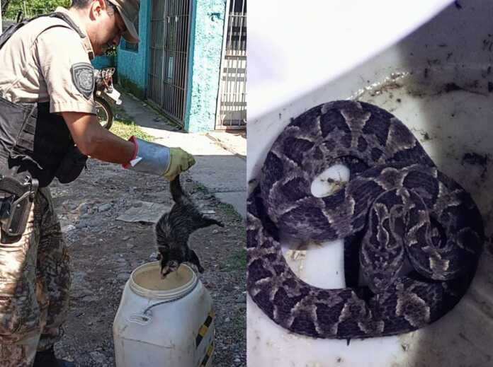 Imagen de WhatsApp 2025-02-16 a las 11.01.15_223b30ae