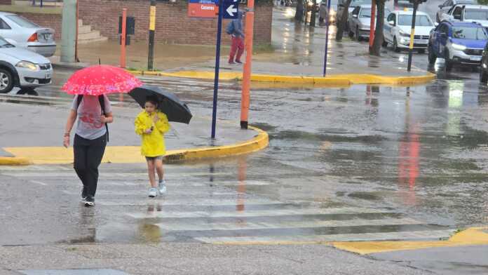 Imagen de WhatsApp 2025-02-25 a las 09.07.33_19ce0267