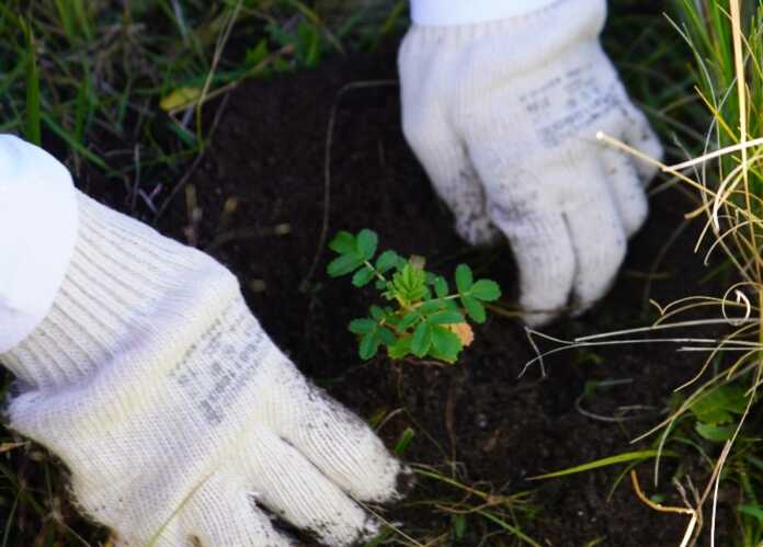 Naranja X - Acción Serrana - 2