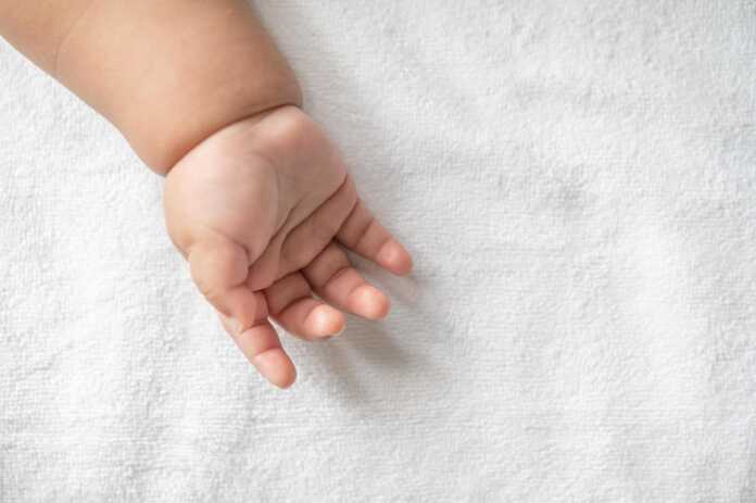 a-newborn-baby-hand-free-photo