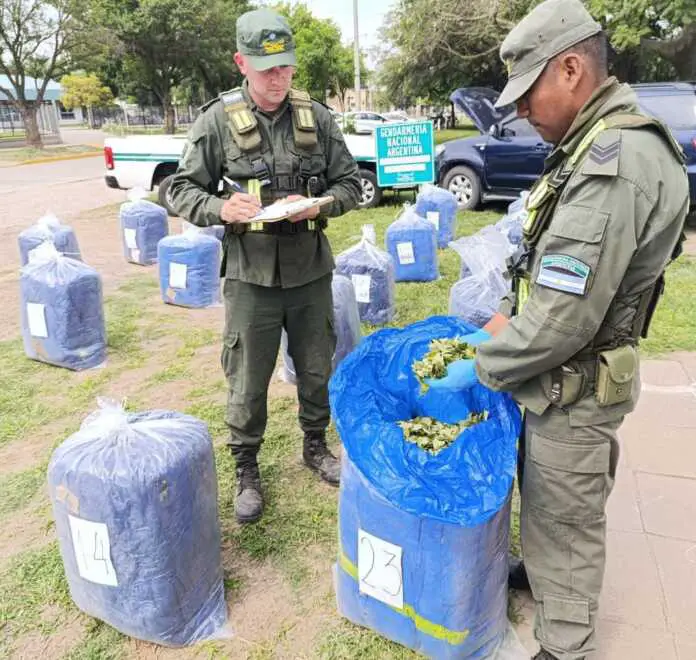 Circulaban con 564 kilos de hojas de coca en la parte trasera y baúl de una camioneta (1)