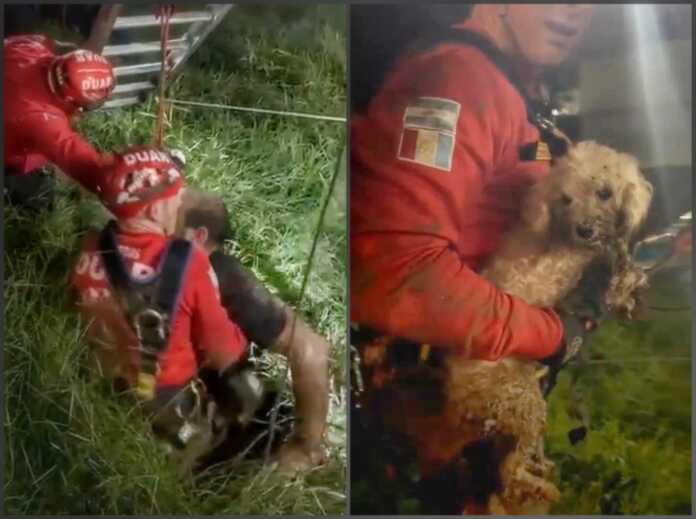 Rescate-Duar-pozo-negro-perro-hombre