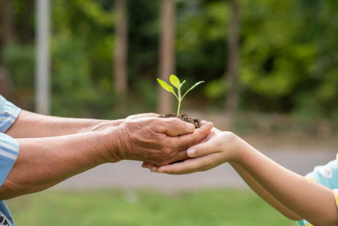 educacion ambiental freepik