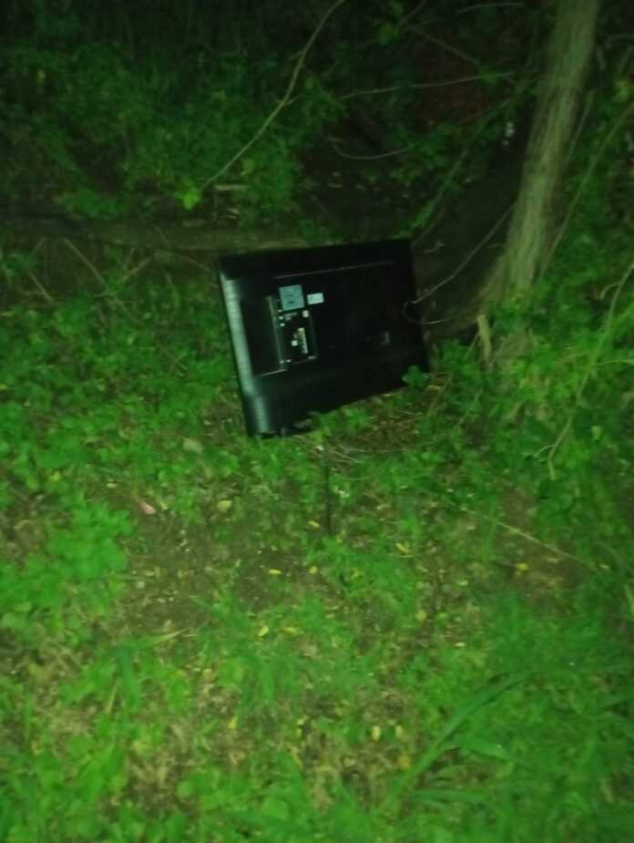 televisor