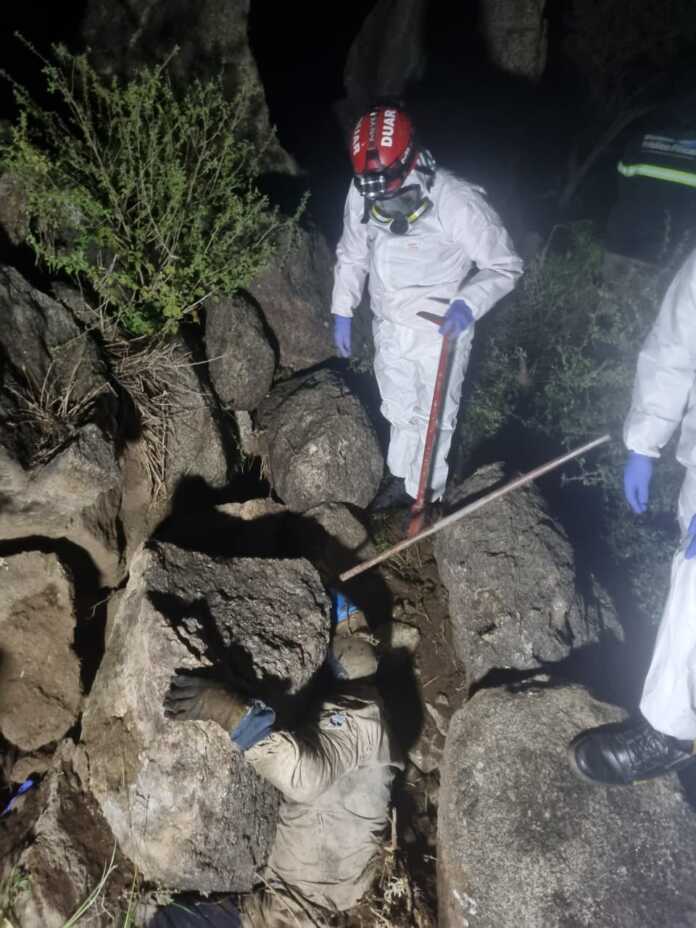 WhatsApp Image 2025-04-05 at 08.33.46