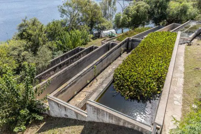 WhatsApp Image 2025-04-09 at 09.14.05