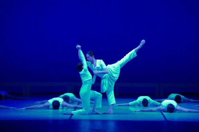 WhatsApp Image 2025-04-24 at 14.01.54