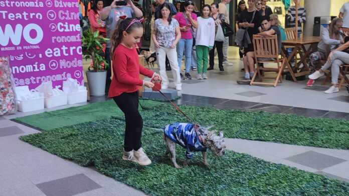 WhatsApp Image 2025-04-29 at 17.33.04