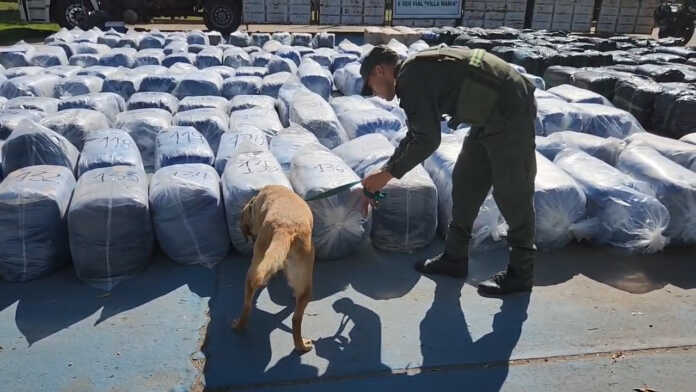 Córdoba secuestro de más de 6 toneladas de hojas de coca (4)