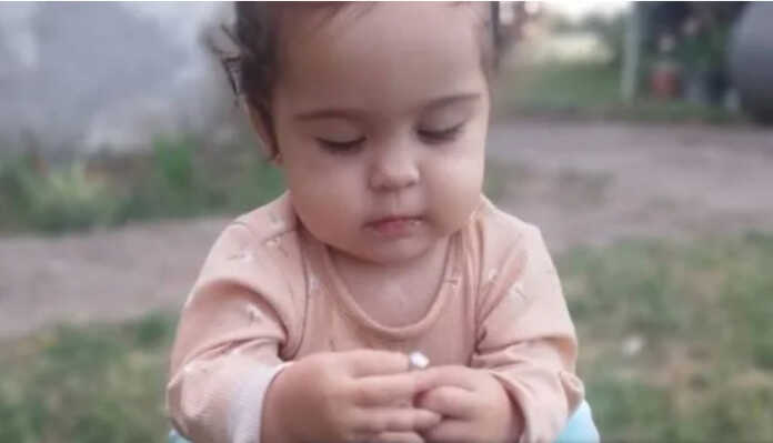 Delfina Hecker