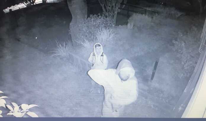 Imagen de WhatsApp 2025-05-21 a las 19.50.27_ed7363a2