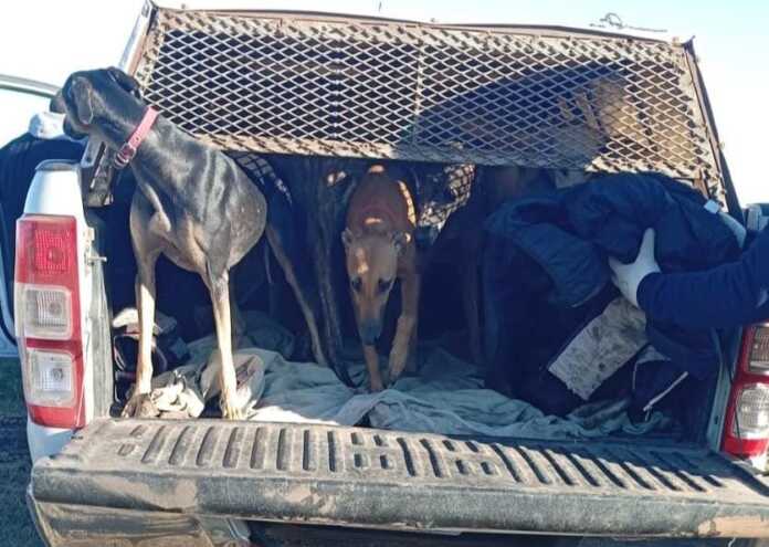 Imagen de WhatsApp 2025-06-01 a las 11.31.08_9225ce82