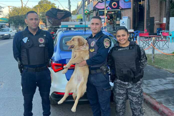 Imagen de WhatsApp 2025-06-03 a las 15.22.43_6ce14c6b