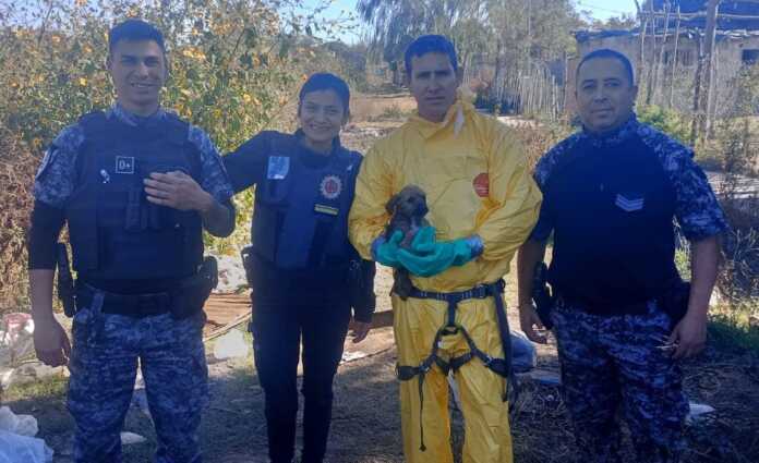 Imagen de WhatsApp 2025-06-06 a las 18.26.12_f60707e3