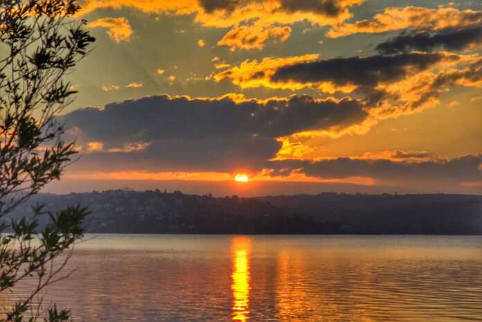 Imagen de WhatsApp 2025-06-12 a las 20.23.48_d45a1087