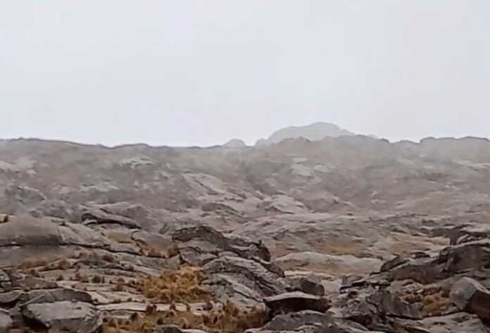 Imagen de WhatsApp 2025-06-22 a las 11.00.46_270f5788