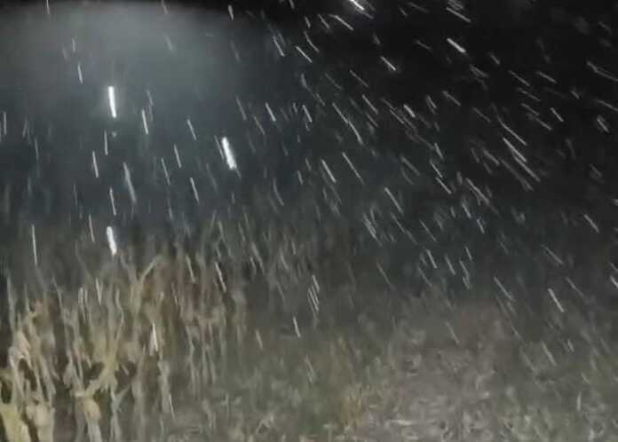 Imagen de WhatsApp 2025-06-29 a las 00.27.32_29961dc2